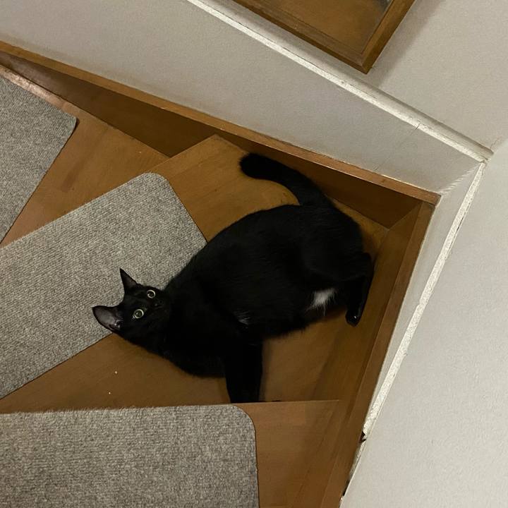 3c63570b e24e 45a9 ba86 d27dc4a5f9e7 1664538258405