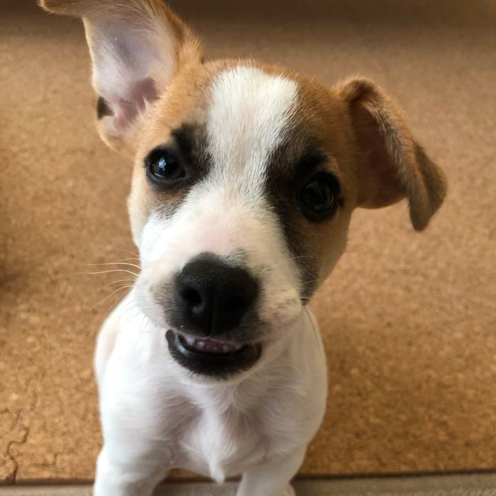 3c636434 1751 4113 a90a fc570cbf9169 1546993683795