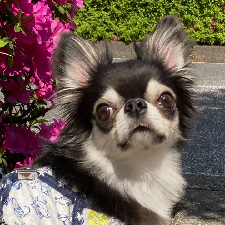 3c636606 e3c9 450f a00a aa341467efd1 1651758046172