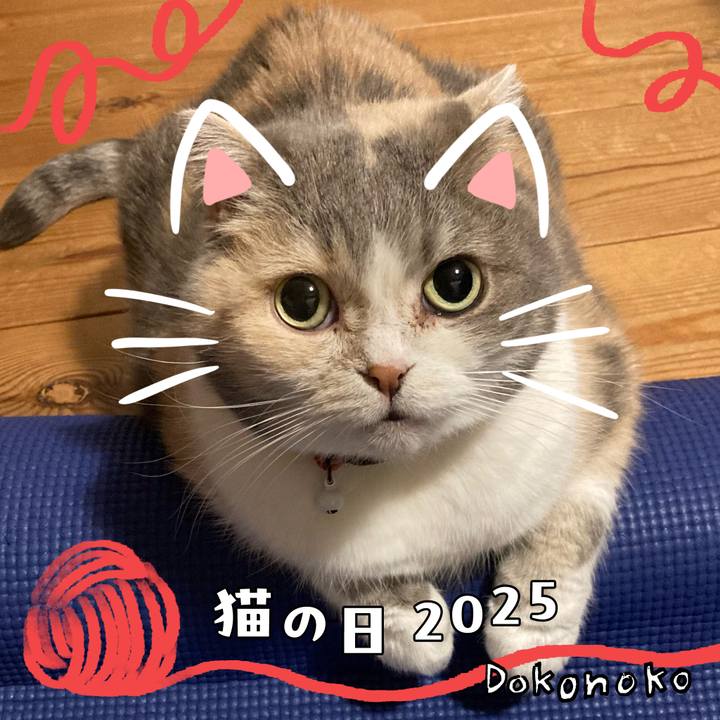 3c638726 5384 4754 99ef 563f6589f25c 1740107859082