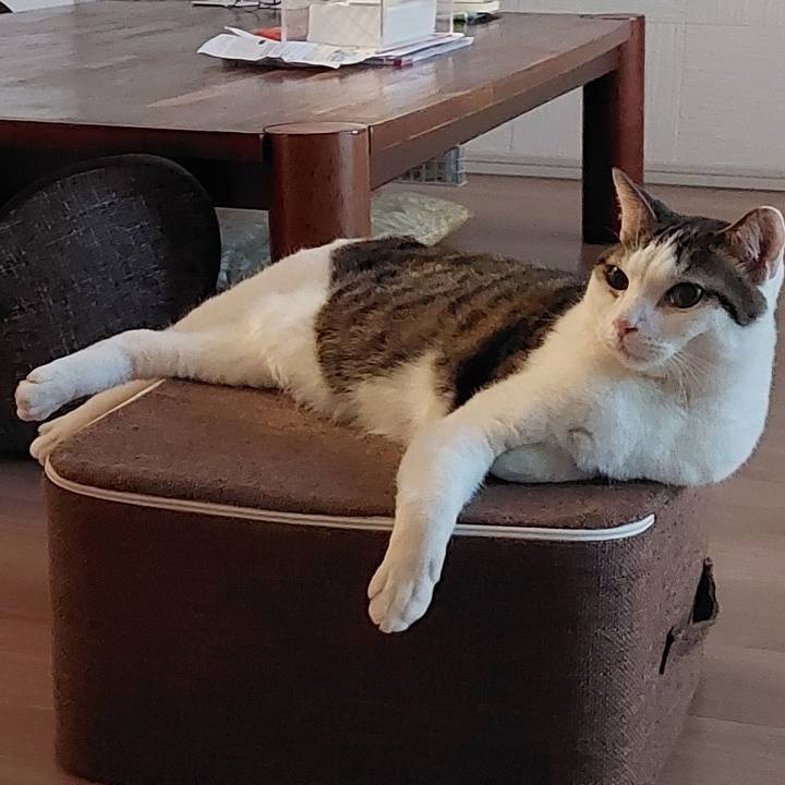 3c6389e0 052e 411d 8e49 8fce8b3bbba9 1753560008749