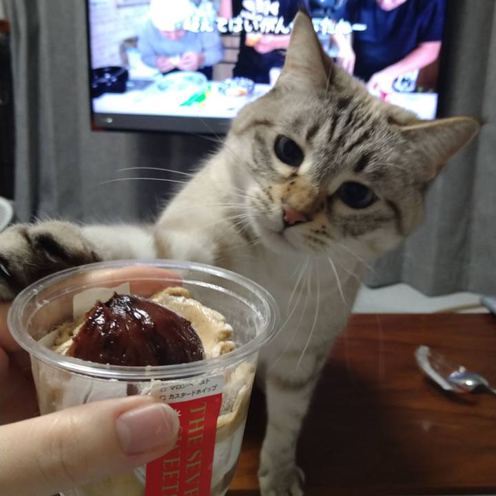 3c63bffa 5864 4851 9e96 01cc7856781e 1639137979189