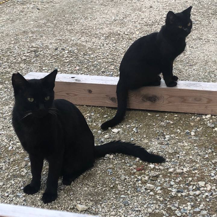 3c63c32c 5c0a 41e0 acda 618a99000cb6 1632489034536