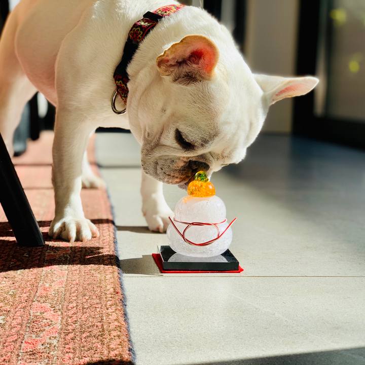 3c63d0b4 8978 4c34 b1cd d2e8d59649dd 1609723514908