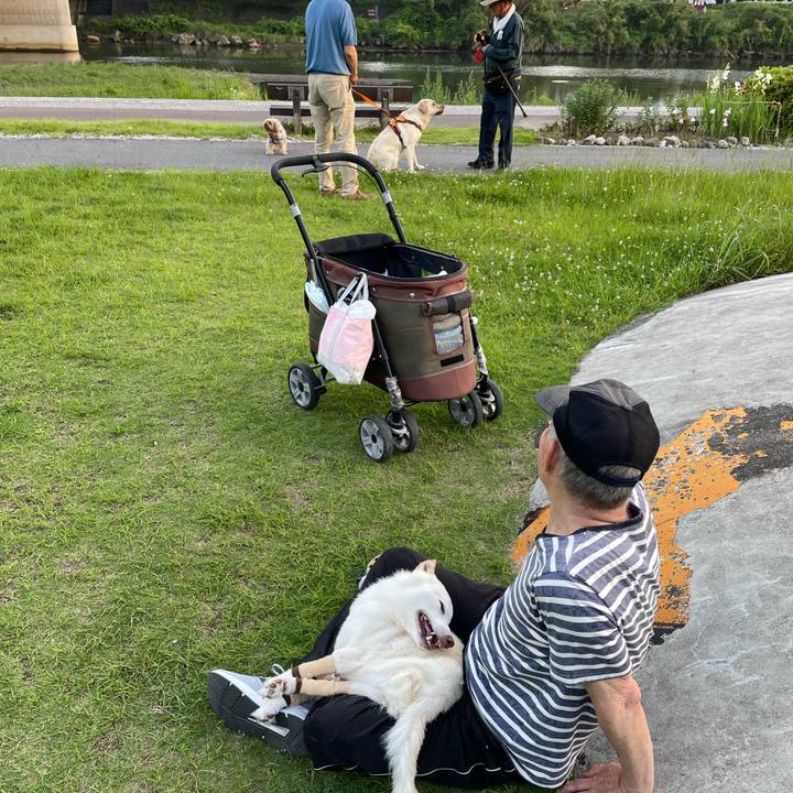 3c63d92c 0029 41ea 88fb 631788068809 1687880646025