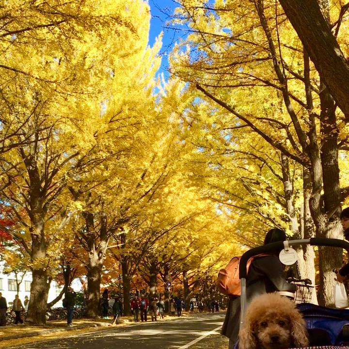 3c63f572 4957 482d b4d0 3cee2eaea130 1509103521088