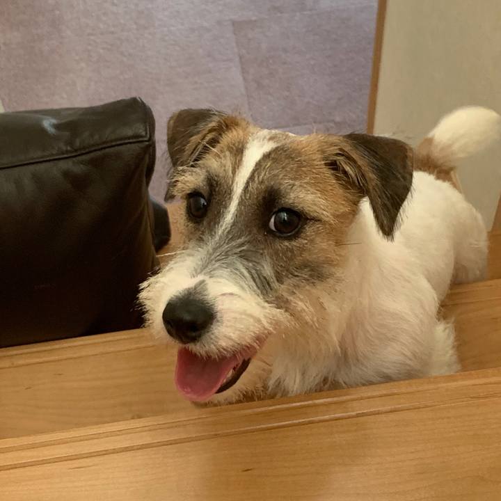 3c64166b dda4 416d 9a32 5bfd5101d523 1572684110218