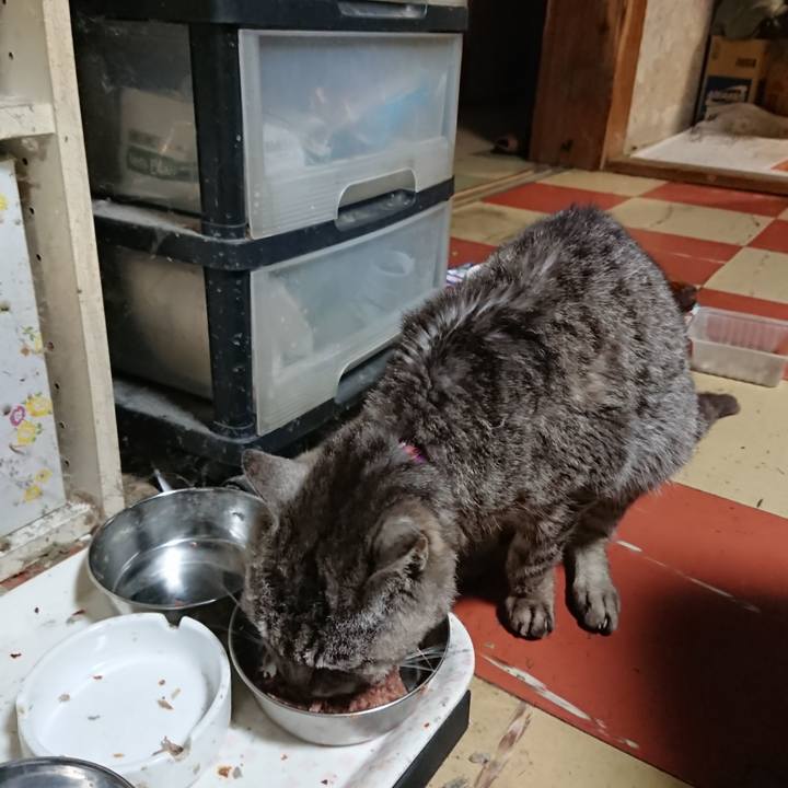 3c646428 df02 49cd 9900 27a2c769992e 1595928711784