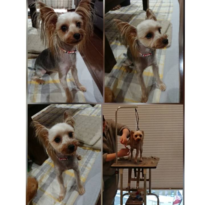 3c648123 5c62 4995 a8cf 0a7f5935e45f 1531394724864