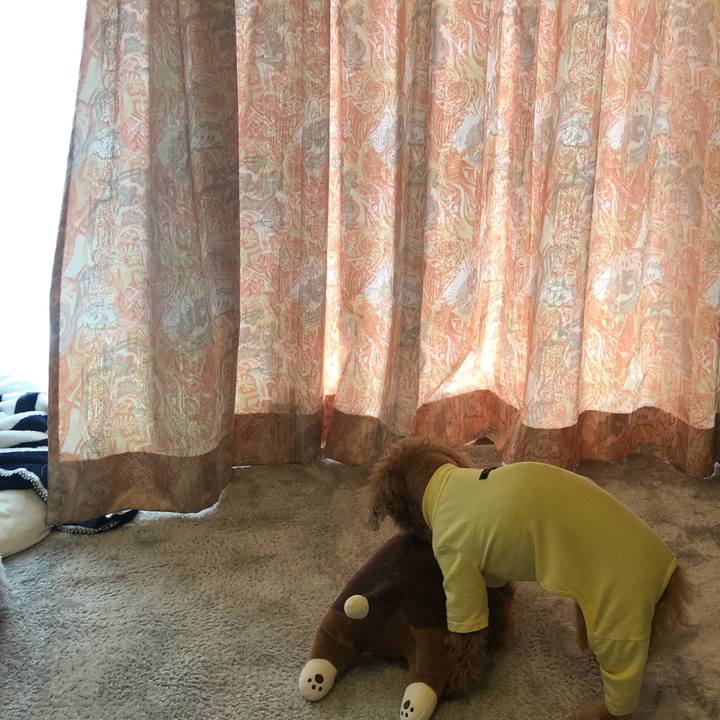 3c6490f2 4d7e 4ab2 b5f1 0e76fff348cd 1650715989447