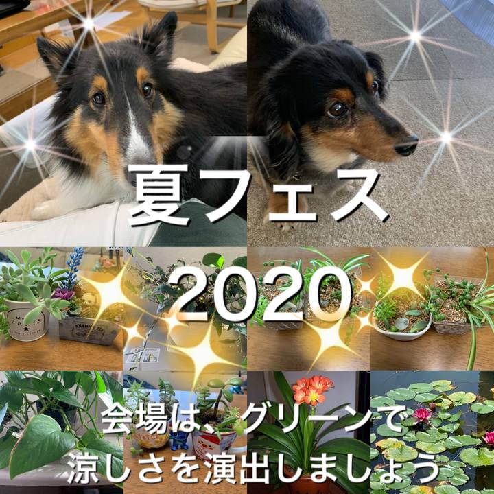 3c655406 c8da 4a52 97a5 43c9ca331717 1597273892576