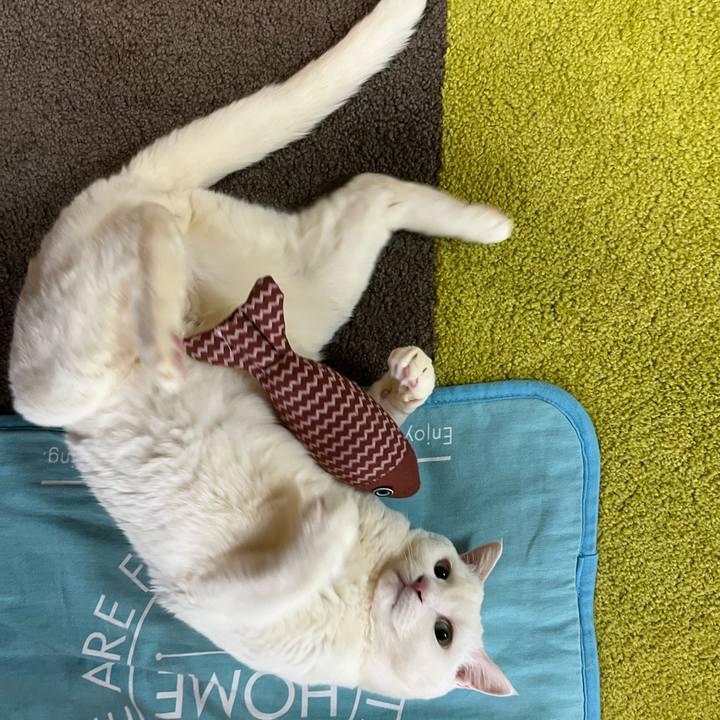 3c655cb3 df87 4e3f 9889 2eeff04df913 1711266586239