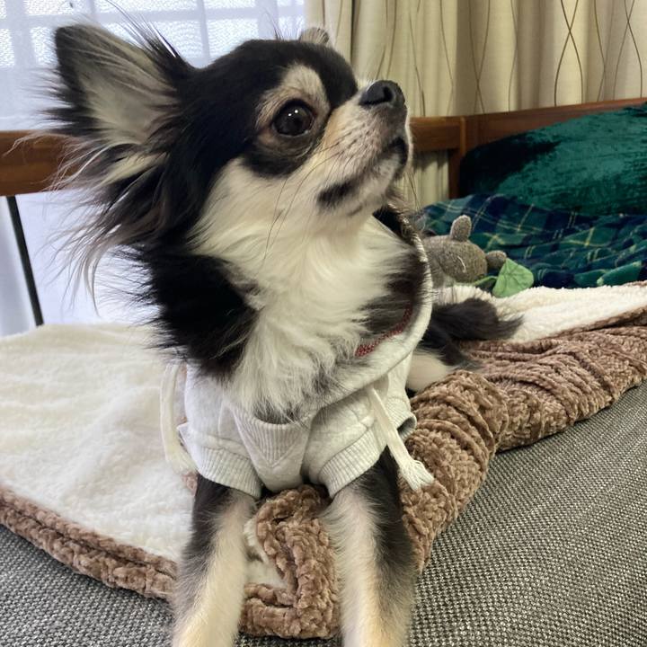 3c6571f9 d219 4255 af6e 38907c5decdc 1644734147733