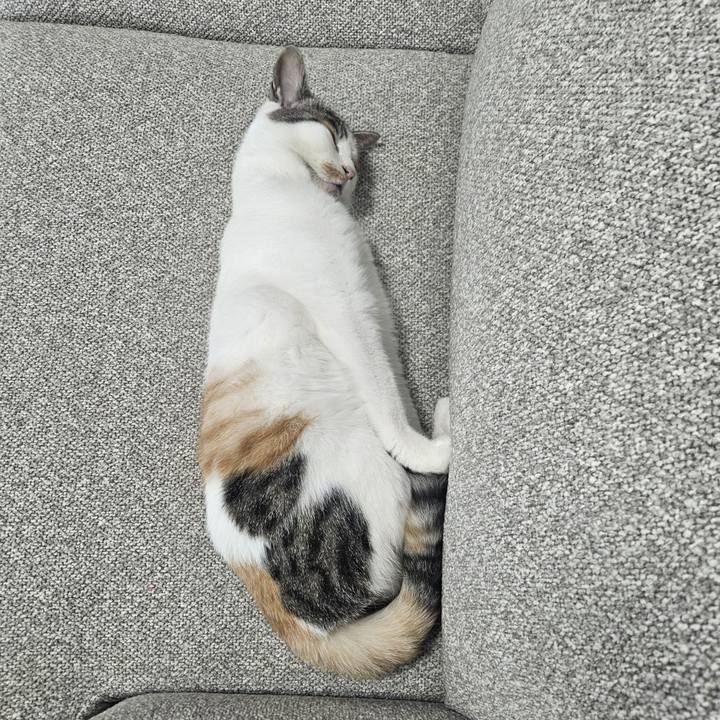 3c659b21 9b1d 44d5 8a72 e40d60fcf169 1760163877110