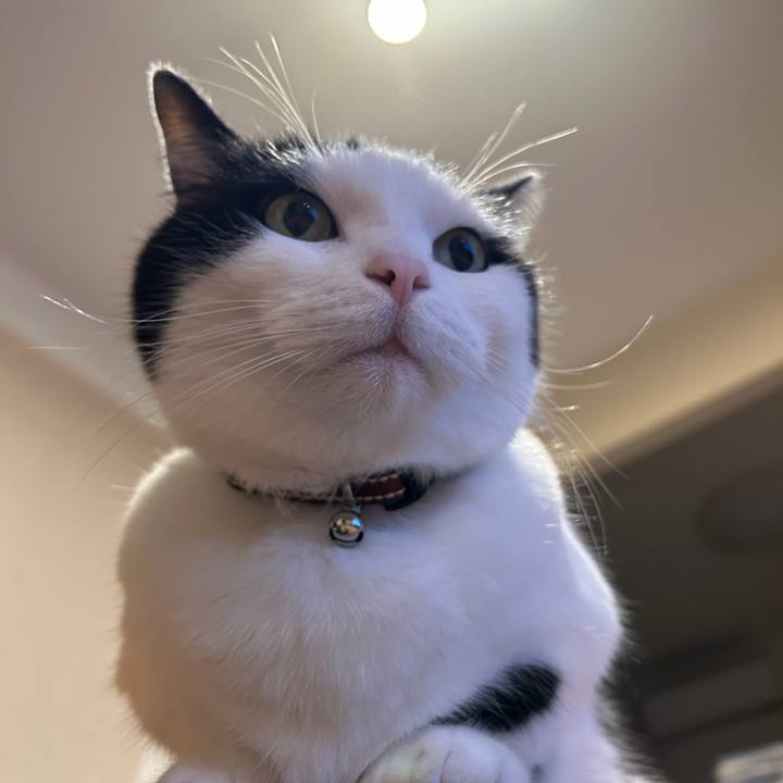 3c659f9b c83e 424c 8787 1629ec9ad2ee 1772842987725