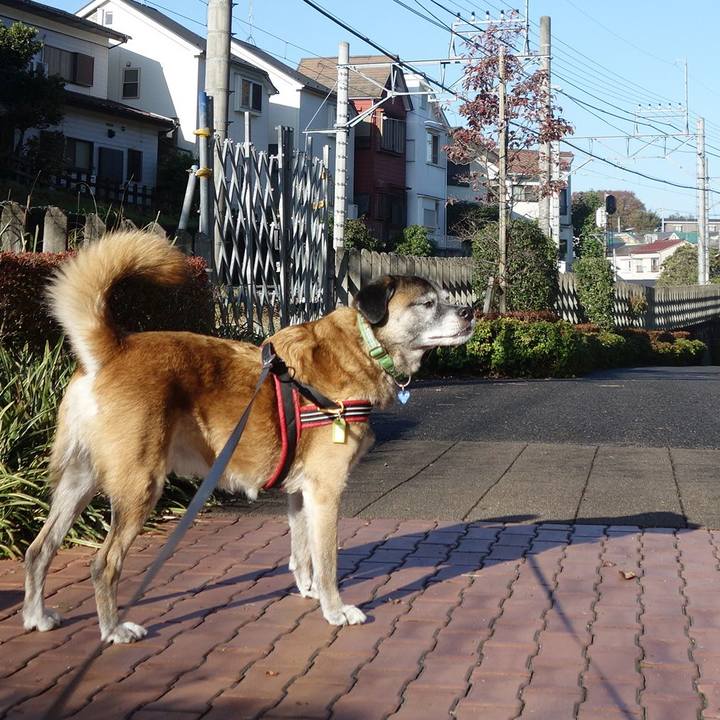 3c65f628 21e3 4b5d 839d 1fa0f548b3cc 1651627083886