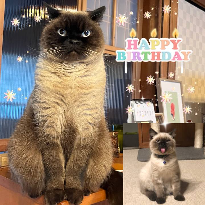 3c65ffaa 9667 4e78 a10f 3a2c6044d6a0 1738193254233