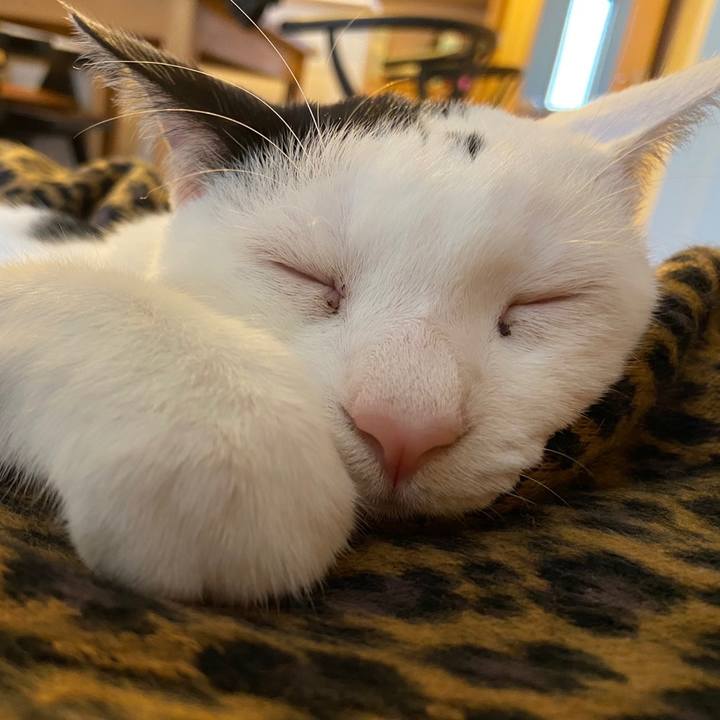 3c661e59 a931 4649 ac05 11c5f0ec0174 1702260302342