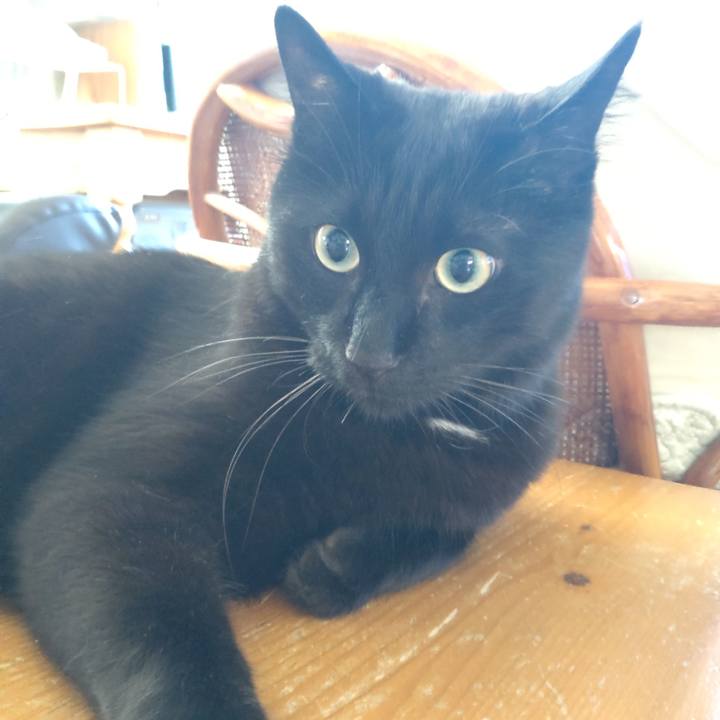 3c662089 16ee 479a b604 4d36369e672f 1690069652955