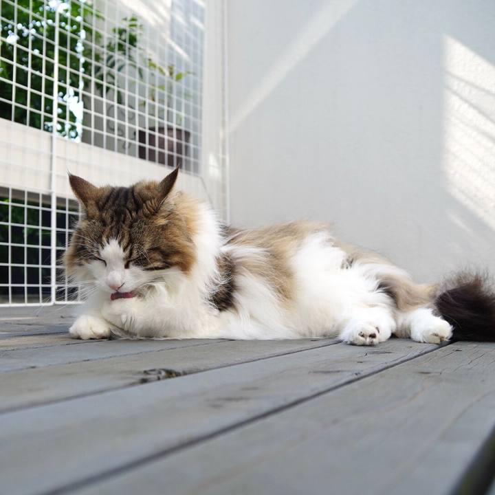 3c664f64 af37 46ee b71e e5a9f4dd8a88 1655450187322