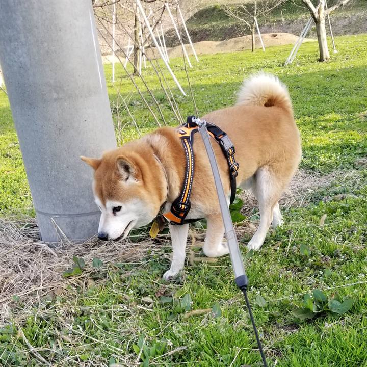 3c666539 ad20 49e6 9401 1a3dc26824f6 1617177187542