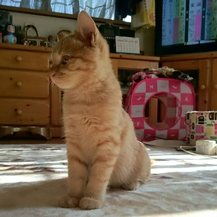 3c66a912 7216 406a 9082 0c97e998eb5e 1541642770033