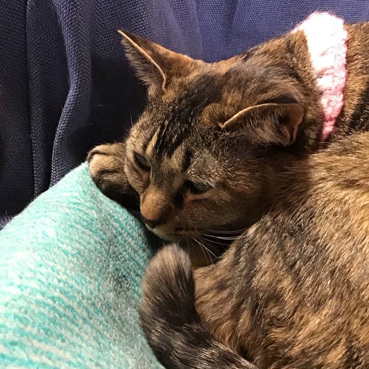 3c66f1ba ef77 46ba 8adc d9201bb08d55 1744016714133