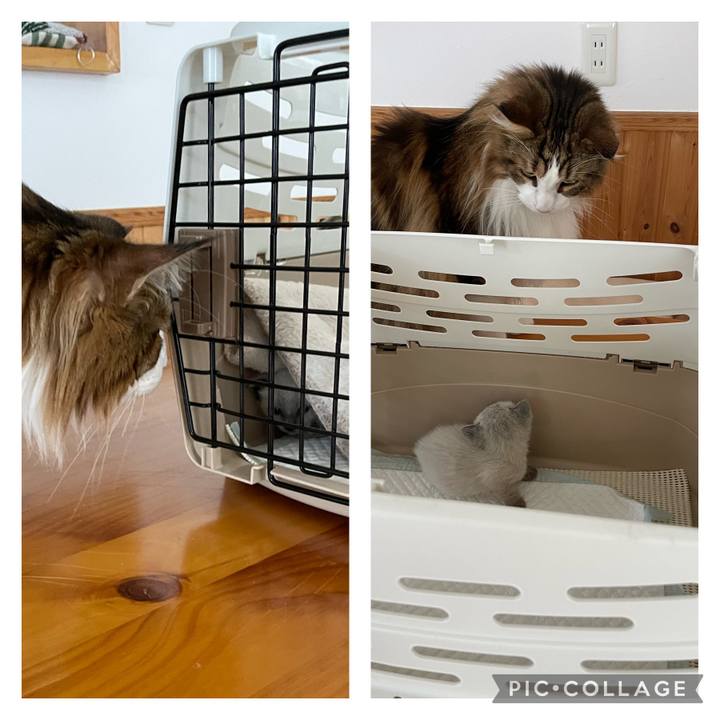 3c670816 af65 4634 9f00 a1658159990f 1684657959923