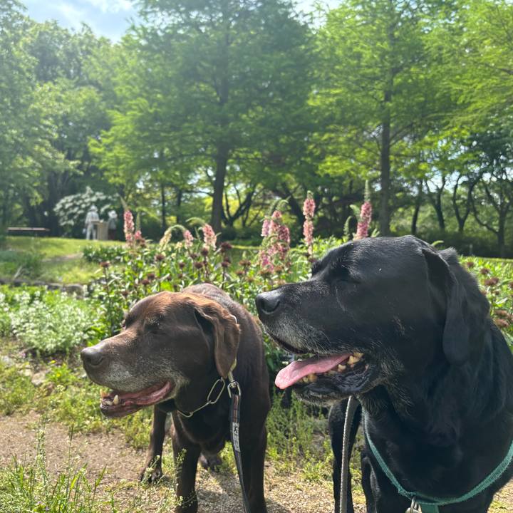 3c671fac 6b20 402b 8b1d 393ed1bab67d 1777288519622