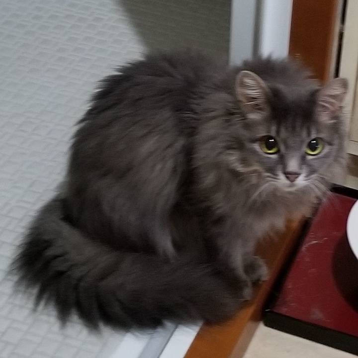 3c672259 e516 4ec9 be28 c2544fce39b6 1594073713571