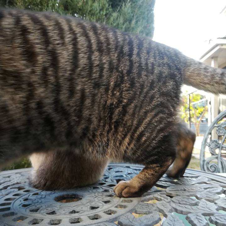 3c673e48 91d2 4e64 9d17 27839a6dcc68 1553417186141