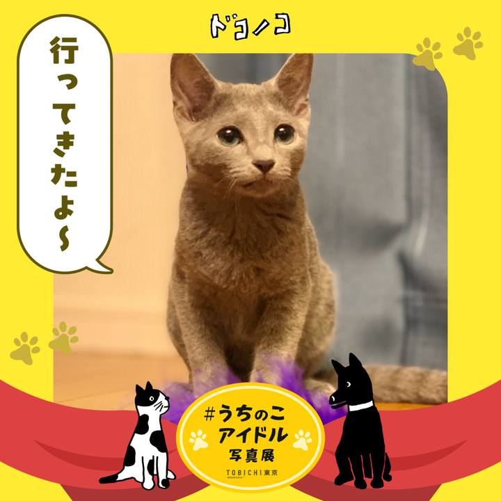 3c674b1d be1d 47e0 8fdd febb3a54941a 1761115056526