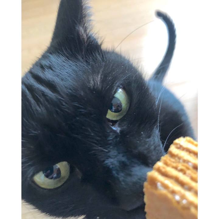 3c67ca5d 5ecd 411f 883a 43005d572dd5 1576300701468