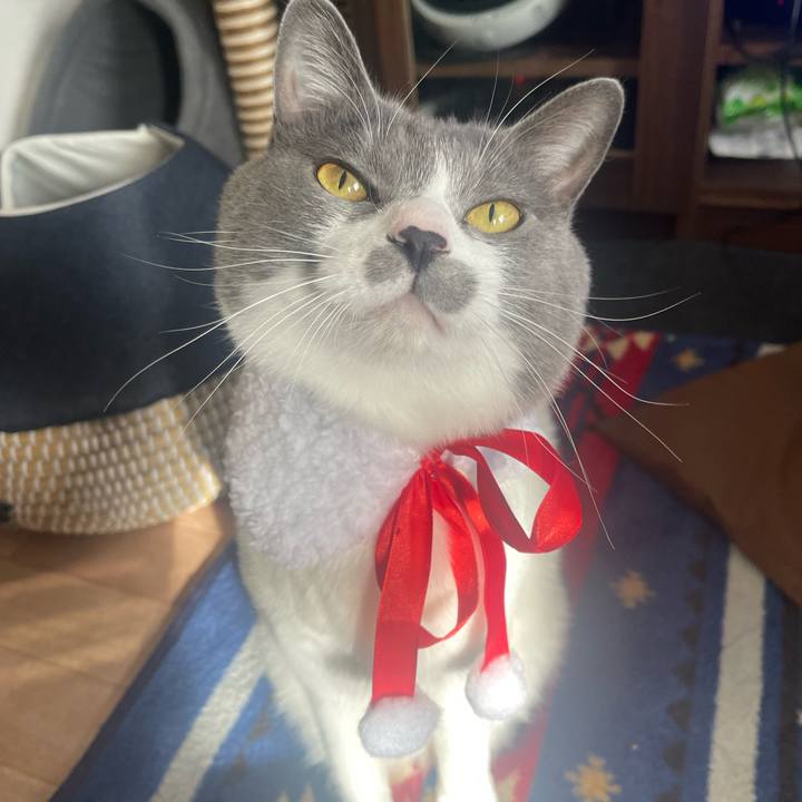 3c67cd8e 6a79 41a1 814e e304fa5eb5b5 1671859805633