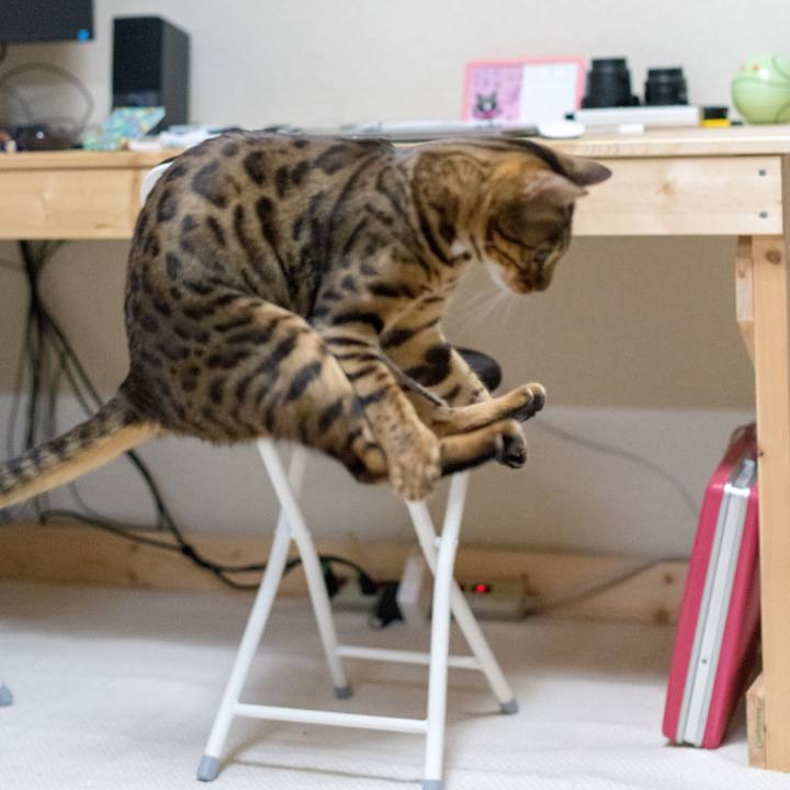 3c67f070 302d 4282 a933 faeb996a3f66 1520688172040