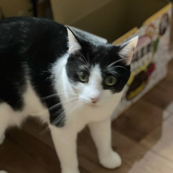 3c68174d ef3e 4f03 83eb 4443f513a2bb 1692196621376