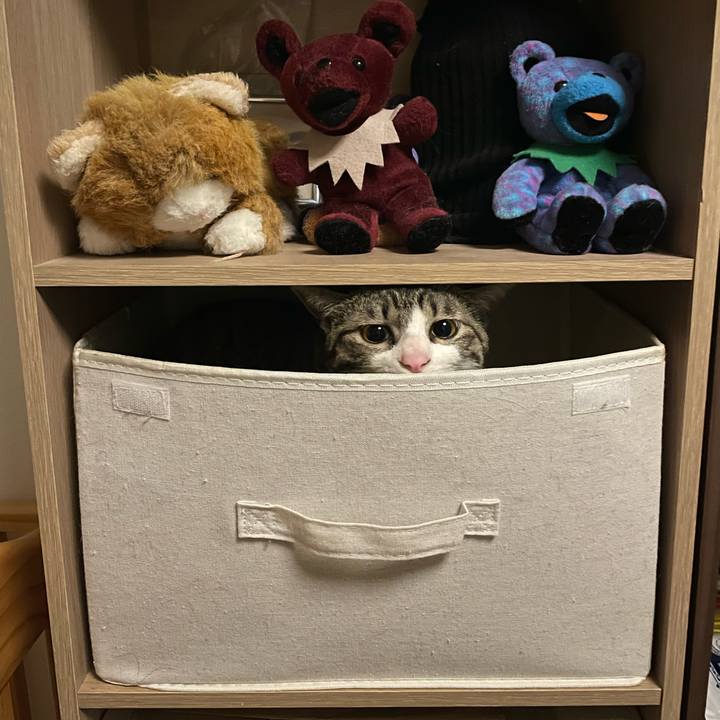 3c682fc0 9069 4806 b88b 042a8ab81fbe 1744375500420