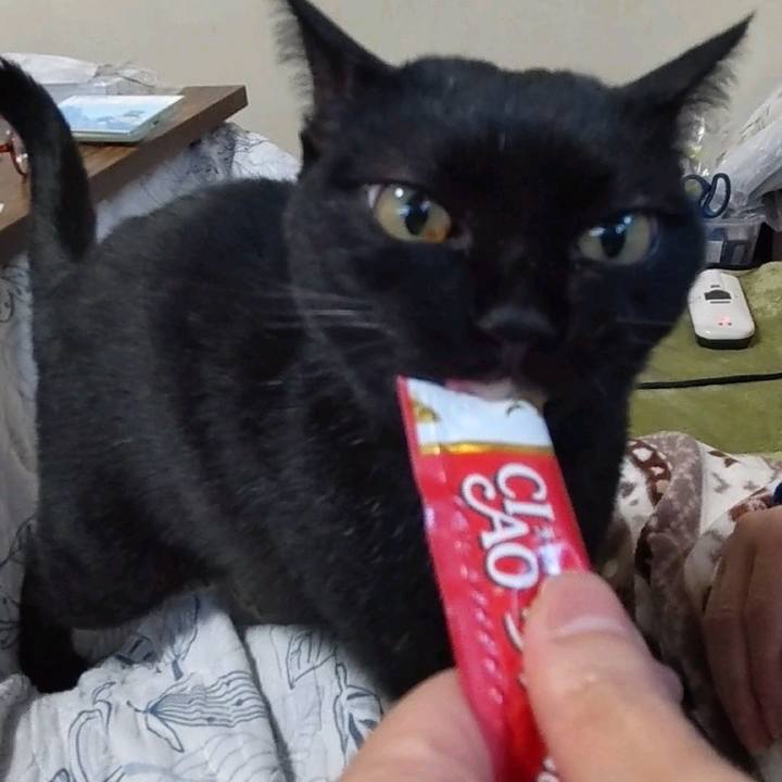 3c687dcb b17a 4d01 bda7 4a3f3d9c04aa 1670314226120