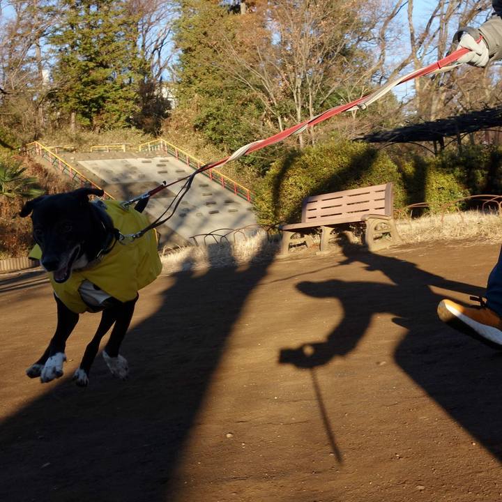 3c68a72d e008 45de b12b c2fd0c6bb00c 1737853902551