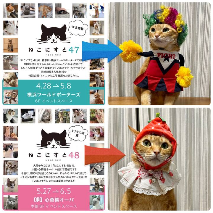 3c68d96f 5a18 40b9 b5be d2d908af38e3 1650926351993