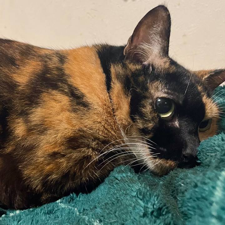 3c6903c8 a579 4c1c 93e2 8f896cd6f9d8 1727365645462