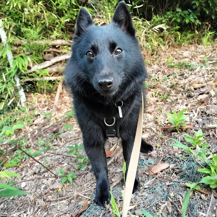 3c693274 33cd 4d7d 9de1 e77a50a273bf 1693258035740