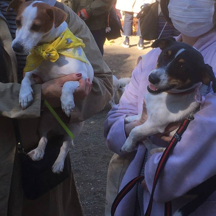 3c6938a2 2140 4d26 b9d6 2af1ae7732bc 1606546746072