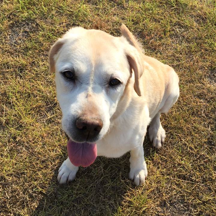 3c69ac42 9e9b 44ba add2 13ecfc6eab5b 1533431914960