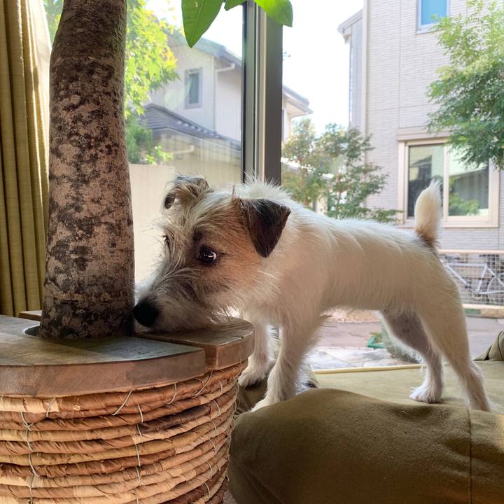 3c69b3ad 490c 4efe 9ecd 95e825923de4 1570166303832