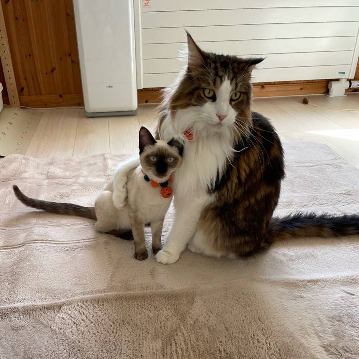 3c69be02 b287 4dda bdda b537134c8c9f 1697340155911