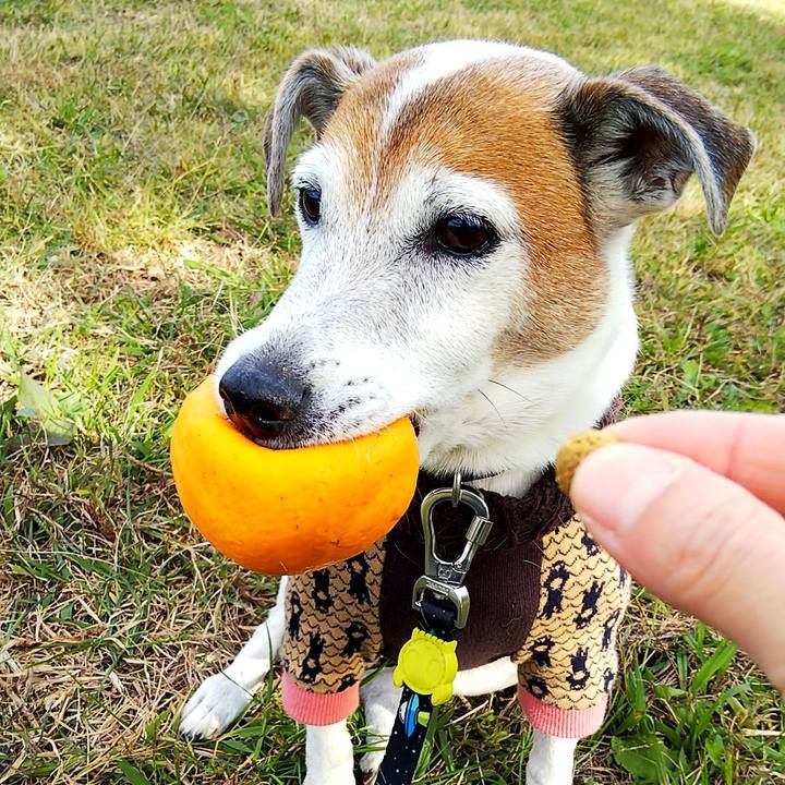 3c69e11a 8c14 4cc3 8746 d9015445be4c 1542955413947