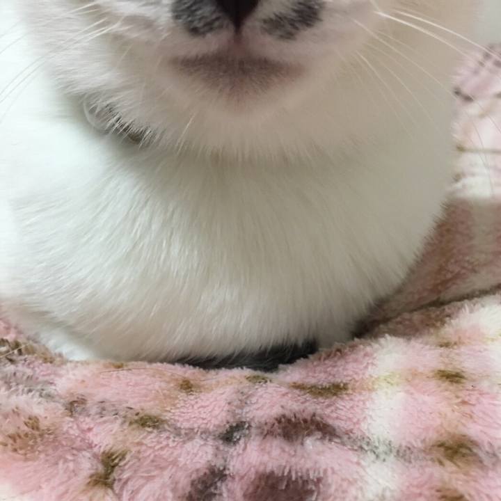 3c6a2474 4ed5 4bfc a24d 8f77dc680790 1523933678540