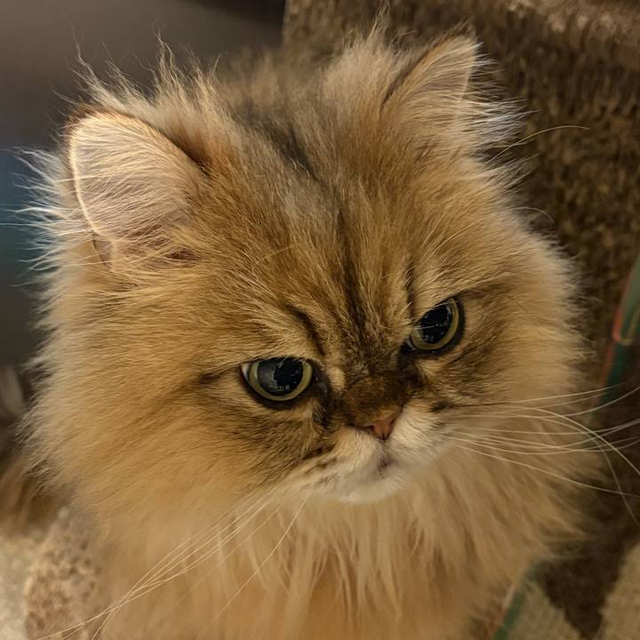 3c6a4efa d8ab 4b77 ac93 7c8edfb41f3f 1763823782376