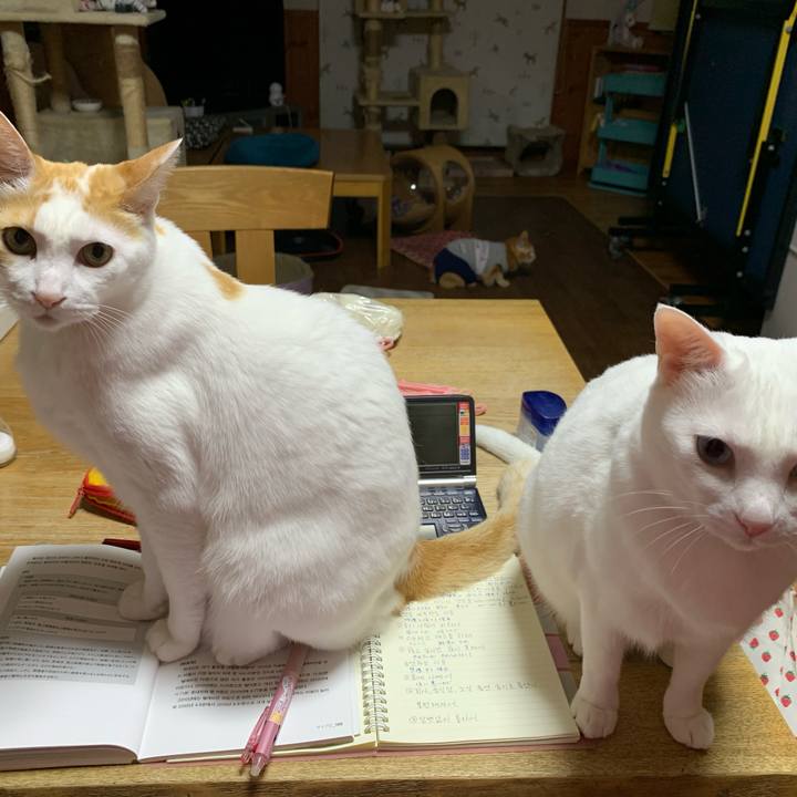 3c6a74c0 bd72 4a59 ab2d 2fb7818e02d7 1617720992828